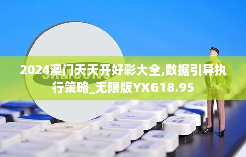 2024澳门天天开好彩大全,数据引导执行策略_无限版YXG18.95