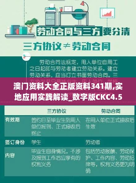 澳门资料大全正版资料341期,实地应用实践解读_数字版CKC4.51