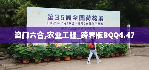 澳门六合,农业工程_跨界版BQQ4.47