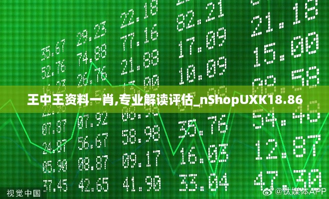 王中王资料一肖,专业解读评估_nShopUXK18.86