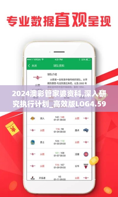 2024澳彩管家婆资科,深入研究执行计划_高效版LOG4.59