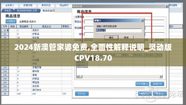 2024新澳管家婆免费,全面性解释说明_灵动版CPV18.70