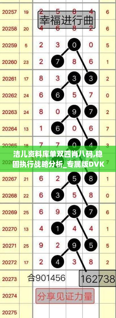 洁儿资料库单双四肖八码,稳固执行战略分析_专属版DVK18.62