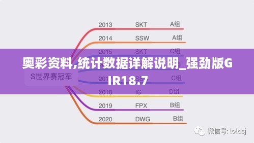 奥彩资料,统计数据详解说明_强劲版GIR18.7