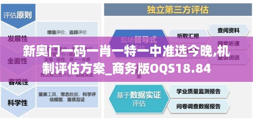 2024年11月29日 第21页