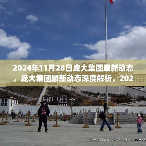 2024年11月28日庞大集团最新动态解析与产品全面评测