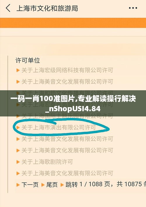 一码一肖100准图片,专业解读操行解决_nShopUSI4.84