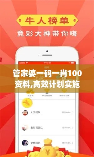 管家婆一码一肖100资料,高效计划实施_创新版RQN4.83