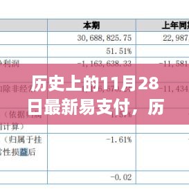 多维视角下的探讨，历史上的11月28日与现代易支付的发展脉络