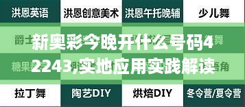 新奥彩今晚开什么号码42243,实地应用实践解读_DIY版LHV18.85