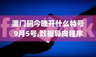 澳门码今晚开什么特号9月5号,数据导向程序解析_紧凑版EQG18.49