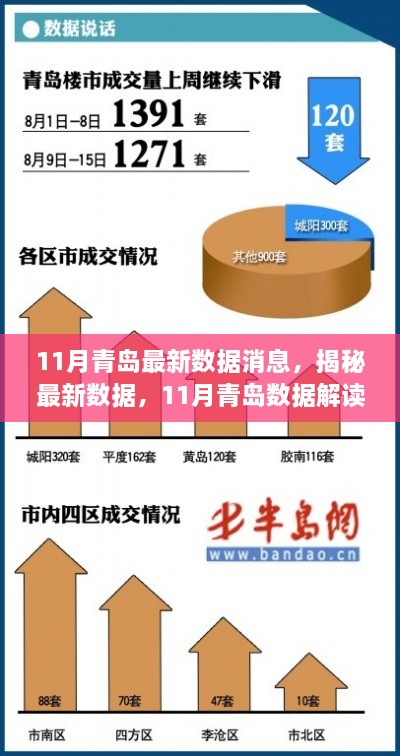 揭秘最新数据，青岛11月数据解读与行动指南发布