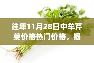 揭秘智能芹菜市场前沿体验，往年11月28日中牟芹菜热门价格背后的科技力量