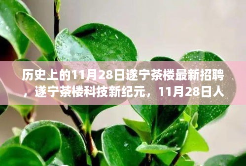 遂宁茶楼科技新纪元，智能革新之旅的人才招聘盛会开启！