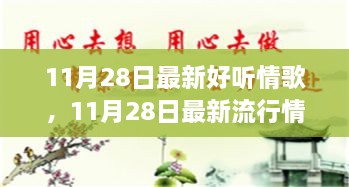 11月28日流行情歌大全，最新情歌概览