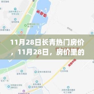 11月28日长青热门房价，温情故事与楼盘的奇妙一天