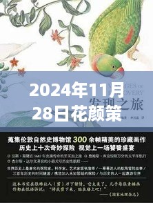 花颜策新篇章，自然之旅的心灵觉醒（2024年11月28日最新）