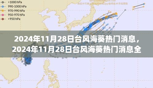 台风海葵热门消息全解析，影响与应对（2024年11月28日）