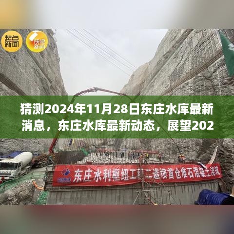 东庄水库最新动态，展望2024年11月28日的进展与消息