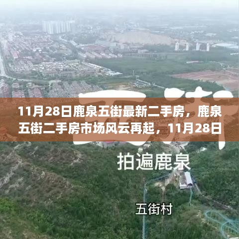 鹿泉五街二手房市场最新动态，11月28日的风云再起与影响