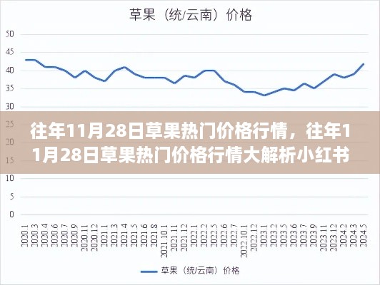 往年11月28日草果热门价格行情深度解析，小红书独家揭秘！