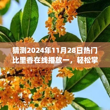 2024年指南，如何在线观看热门比里香节目