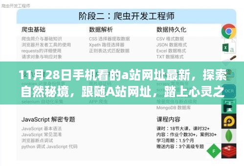 根据您的内容，以下是一个标题建议，，A站自然秘境探索，心灵之旅的奇妙旅程（非涉黄内容）