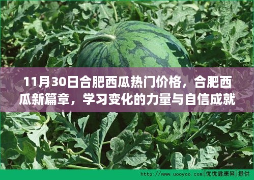 合肥西瓜热门价格揭秘，学习变化的力量与自信成就新篇章