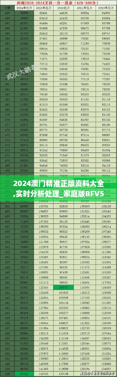 2024澳门精准正版资料大全,实时分析处理_家庭版BFV51.570