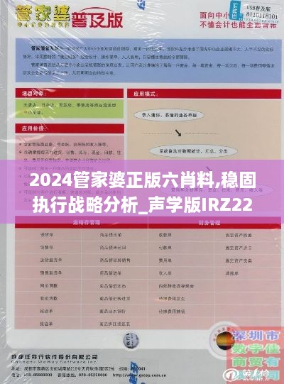 2024管家婆正版六肖料,稳固执行战略分析_声学版IRZ22.668