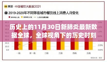 全球视角下的历史性时刻，全球新肺炎疫情最新数据回顾与深度影响，聚焦全球数据下的特殊领域时代变迁（历史性的11月30日）