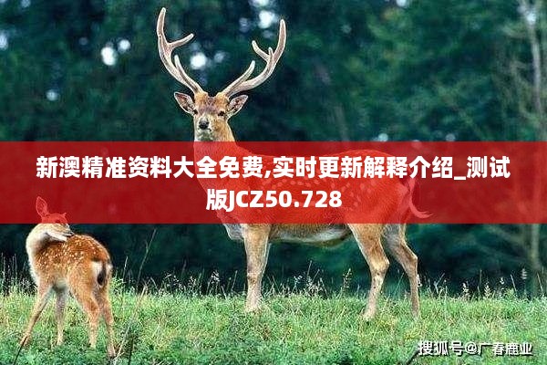 新澳精准资料大全免费,实时更新解释介绍_测试版JCZ50.728