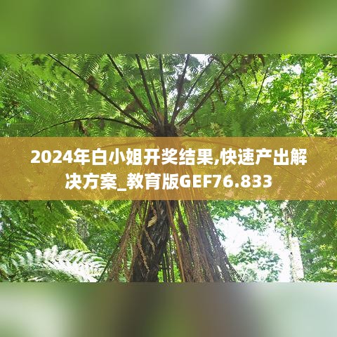 2024年白小姐开奖结果,快速产出解决方案_教育版GEF76.833