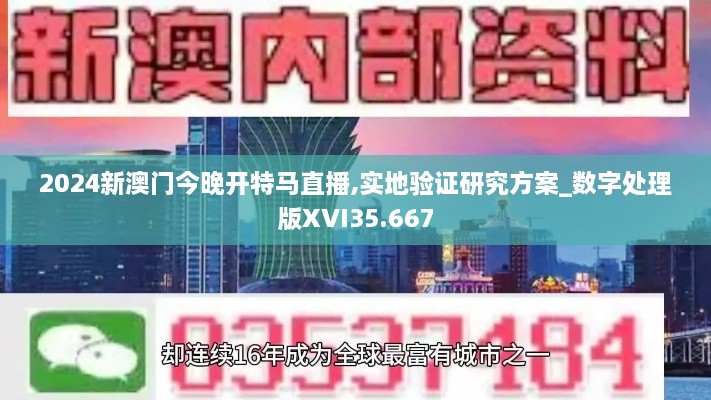 2024新澳门今晚开特马直播,实地验证研究方案_数字处理版XVI35.667