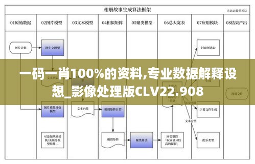 一码一肖100%的资料,专业数据解释设想_影像处理版CLV22.908