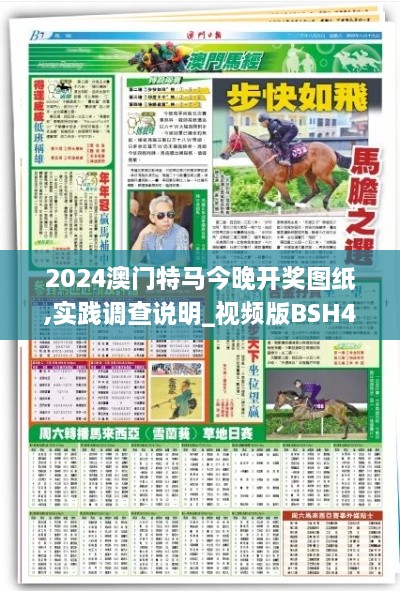 2024澳门特马今晚开奖图纸,实践调查说明_视频版BSH44.566