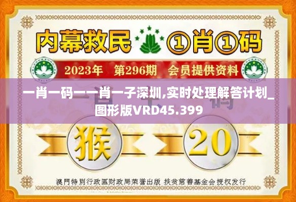 一肖一码一一肖一子深圳,实时处理解答计划_图形版VRD45.399