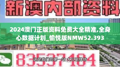 2024澳门正版资料免费大全精准,全身心数据计划_愉悦版NMW52.393