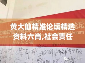 黄大仙精准论坛精选资料六肖,社会责任法案实施_精英版QDC91.824