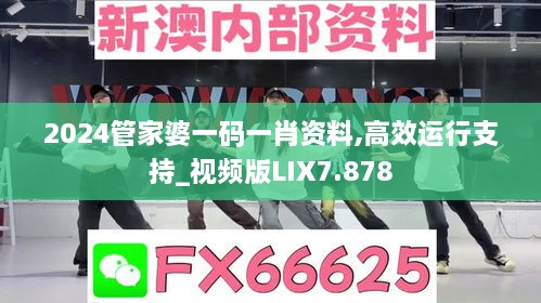 2024管家婆一码一肖资料,高效运行支持_视频版LIX7.878