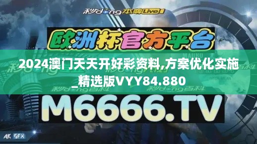 2024澳门天天开好彩资料,方案优化实施_精选版VYY84.880