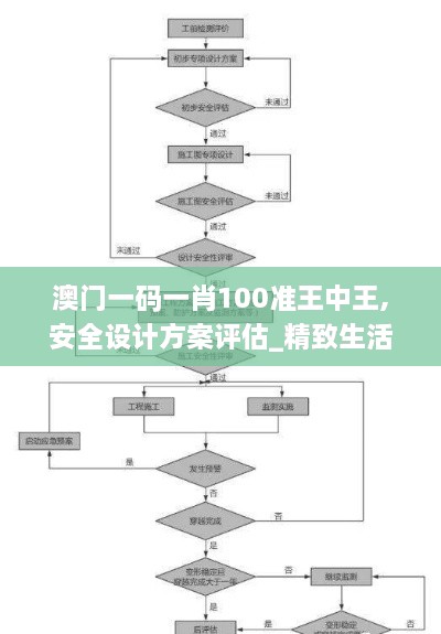 澳门一码一肖100准王中王,安全设计方案评估_精致生活版JFB89.876