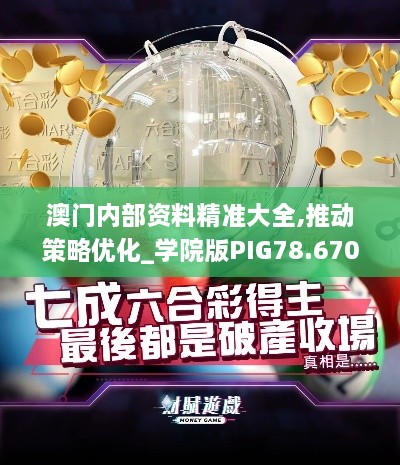 澳门内部资料精准大全,推动策略优化_学院版PIG78.670