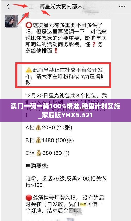 澳门一码一肖100%精准,稳固计划实施_家庭版YHX5.521