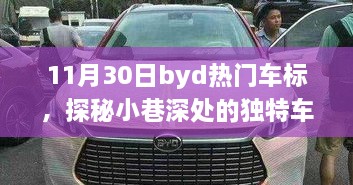 探秘小巷深处的BYD热门车标工坊，揭秘车标背后的故事，11月30日独家报道