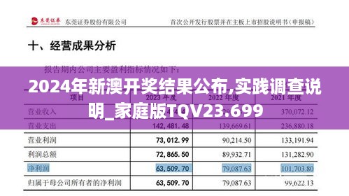 2024年新澳开奖结果公布,实践调查说明_家庭版TQV23.699