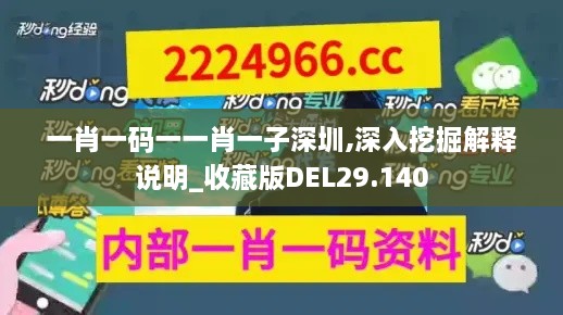 一肖一码一一肖一子深圳,深入挖掘解释说明_收藏版DEL29.140