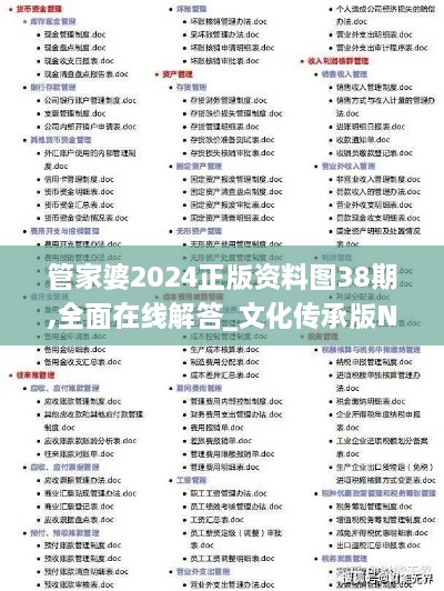 管家婆2024正版资料图38期,全面在线解答_文化传承版NMT13.223