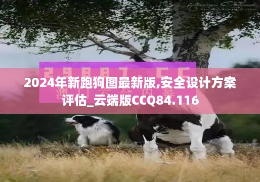 2024年新跑狗图最新版,安全设计方案评估_云端版CCQ84.116