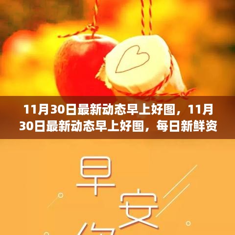 11月30日最新动态早上好图，新鲜资讯开启美好早晨